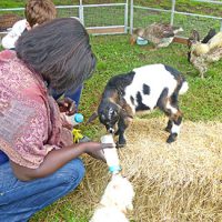 venue_ferme_CHTR