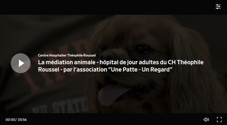 mediation_animale
