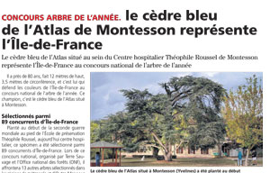 Le cèdre Bleu de l’Atlas de Montesson représente l’Ile de France